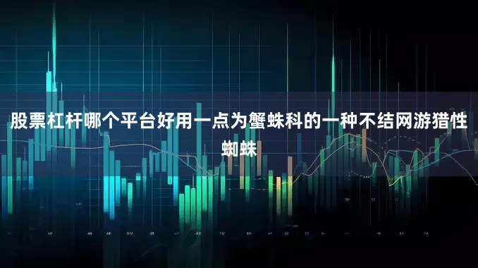 股票杠杆哪个平台好用一点为蟹蛛科的一种不结网游猎性蜘蛛