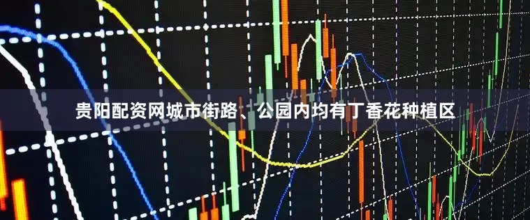 贵阳配资网城市街路、公园内均有丁香花种植区