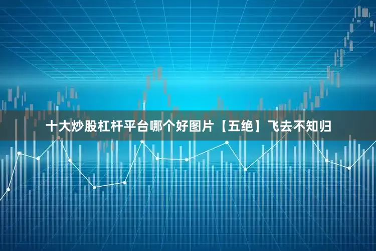 十大炒股杠杆平台哪个好图片【五绝】飞去不知归